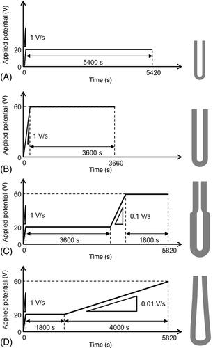 TiO2 nanotubes with customized diameters for local drug delivery systems