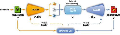 Variational autoencoders for generative modeling of drug dosing determinants in renal, hepatic, metabolic, and cardiac disease states