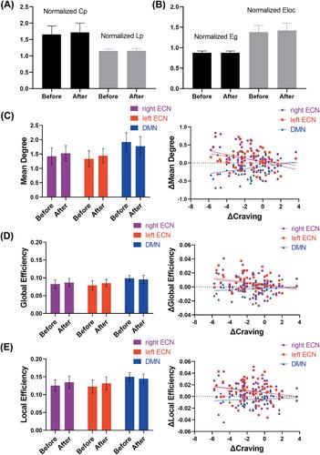 Altered executive control network and default model network topology are linked to acute electronic cigarette use: A resting-state fNIRS study