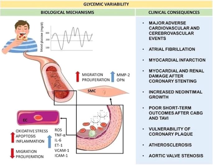 PowerAI-Diabetes: Review of glycemic and lipid variability to predict cardiovascular events in Chinese diabetic population