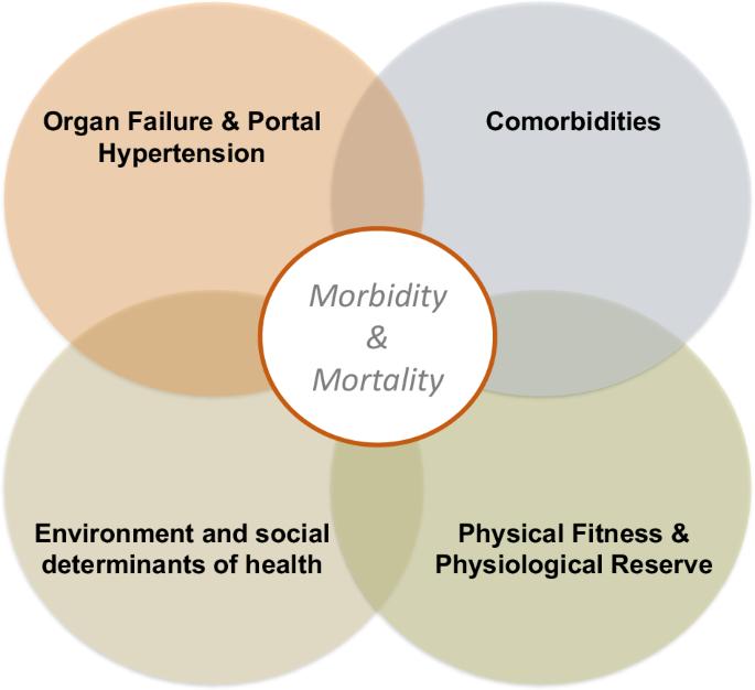 Optimizing the liver transplant candidate