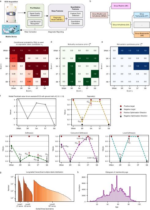 Multi-expert ensemble ECG diagnostic algorithm using mutually exclusive–symbiotic correlation between 254 hierarchical multiple labels