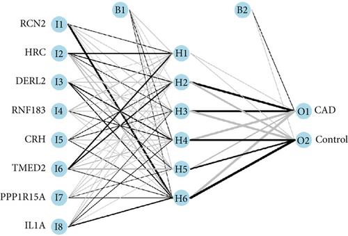 Identification of Endoplasmic Reticulum Stress-Related Biomarkers in Coronary Artery Disease