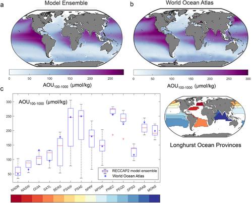 Observational and Numerical Modeling Constraints on the Global Ocean Biological Carbon Pump