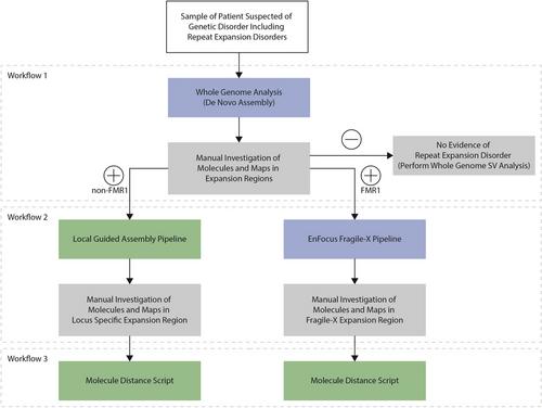 Optical Genome Mapping for Applications in Repeat Expansion Disorders