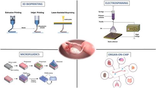 Strategies for developing 3D printed ovarian model for restoring fertility