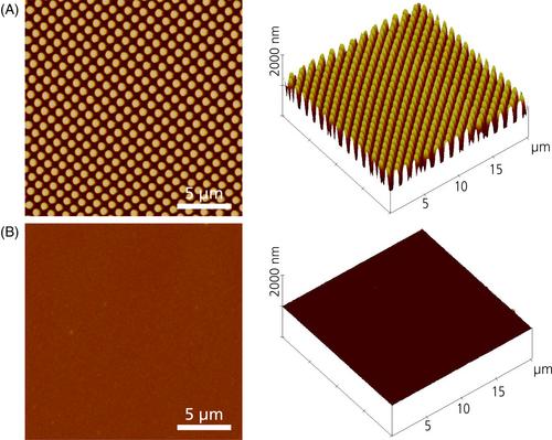 The effects of submicron-textured surface topography on antibiotic efficacy against biofilms