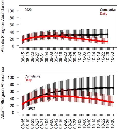 Spawning run estimates and phenology for an extremely small population of Atlantic Sturgeon in the Marshyhope Creek–Nanticoke River system, Chesapeake Bay