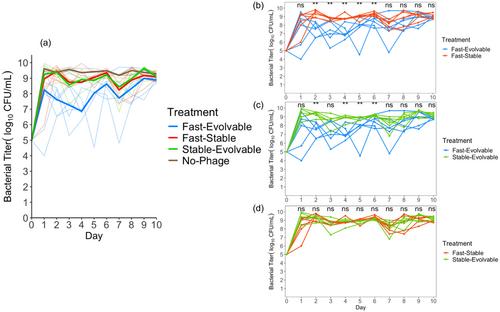 More evolvable bacteriophages better suppress their host