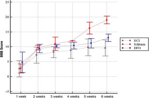 Silibinin promotes healing in spinal cord injury through anti-ferroptotic mechanisms