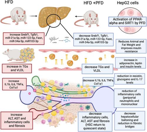 Pirfenidone use in fibrotic diseases: What do we know so far?