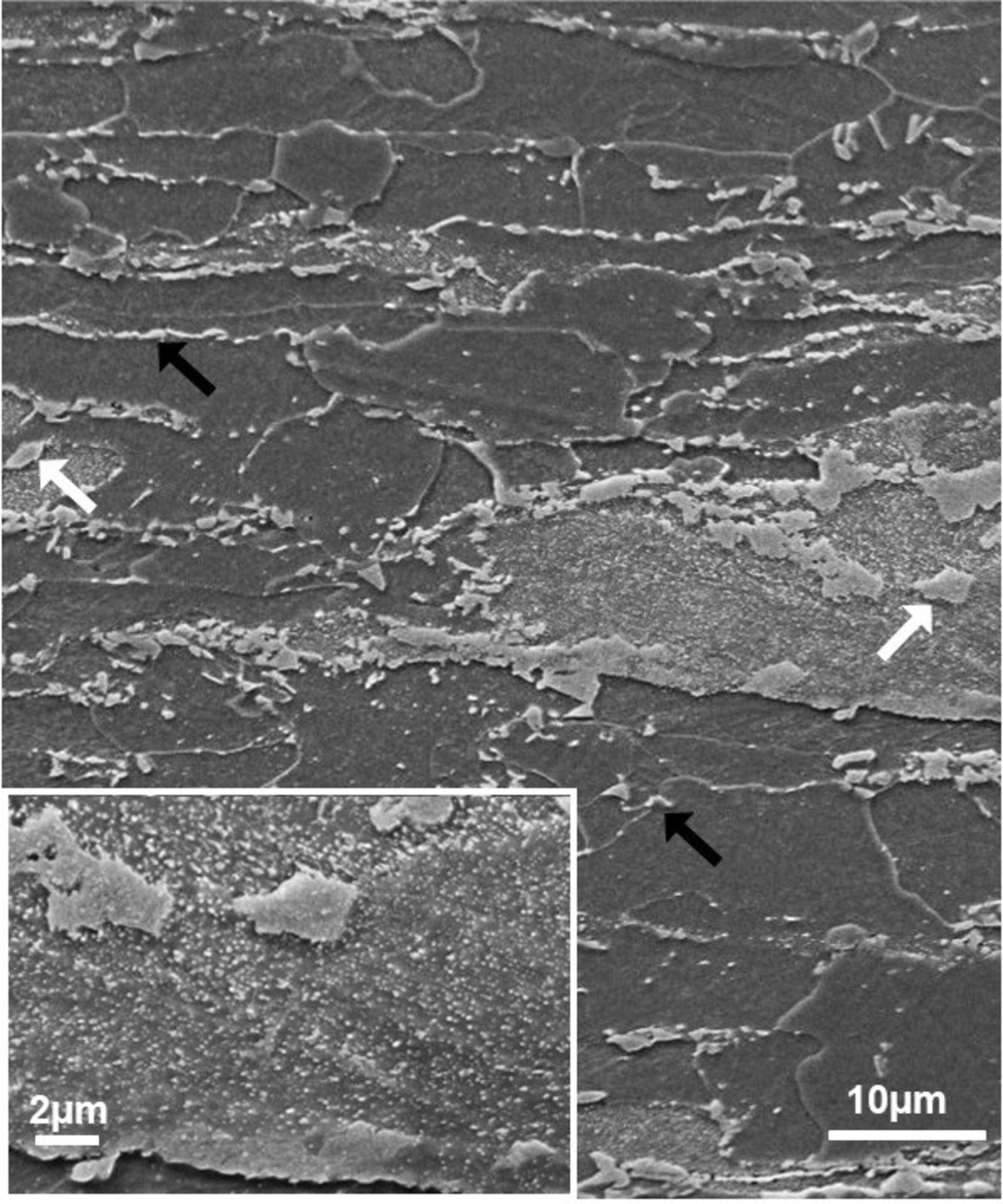 Influence of heating rate and intercritical annealing temperature on the austenite formation of a cold rolled dual-phase steel
      Einfluss der Aufheizgeschwindigkeit und der interkritischen Glühtemperatur auf die Austenitbildung eines kaltgewalzten Dualphasenstahls