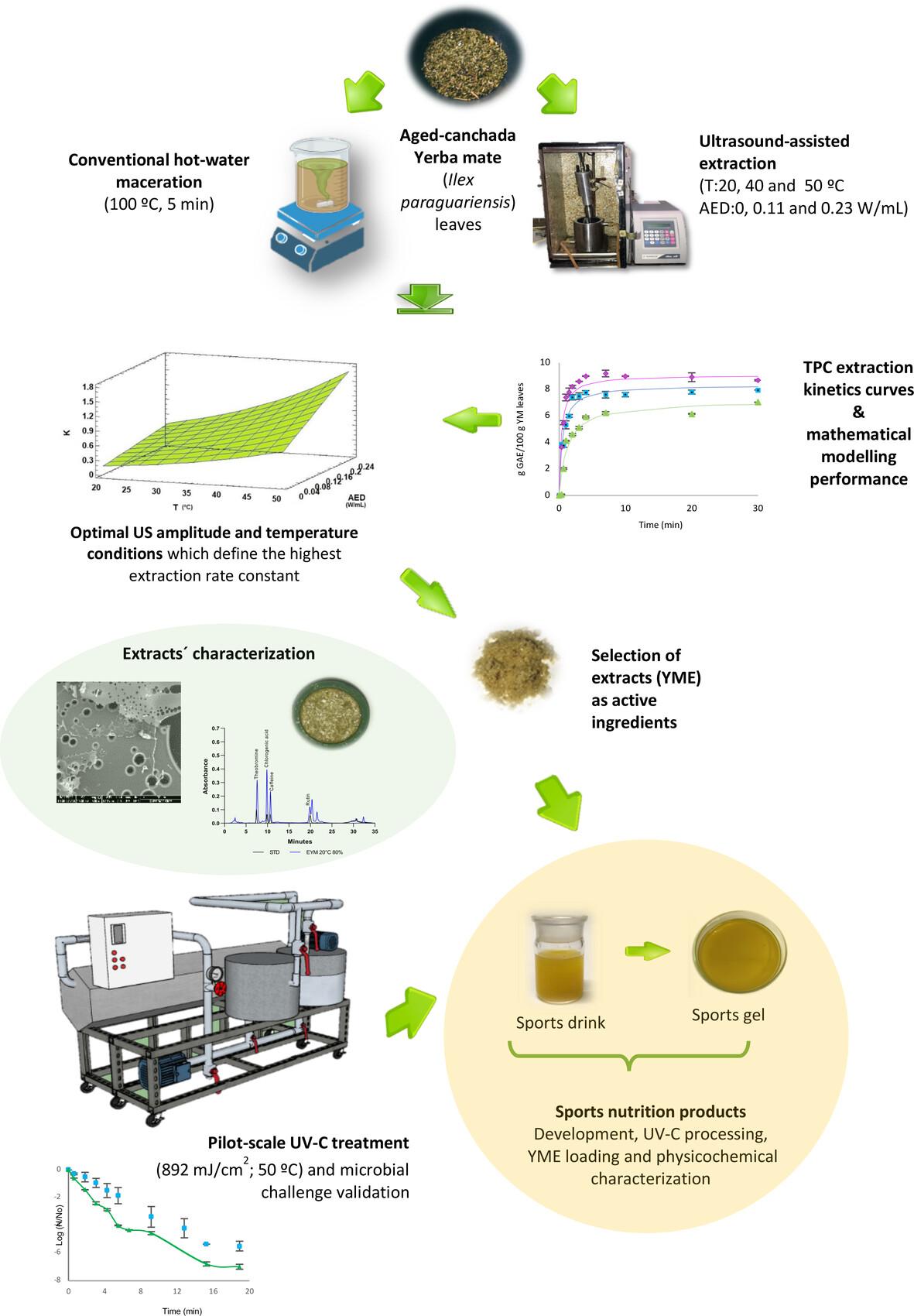 Ultrasound-assisted extraction of yerba mate leaves for the development of active additives in sports nutrition products