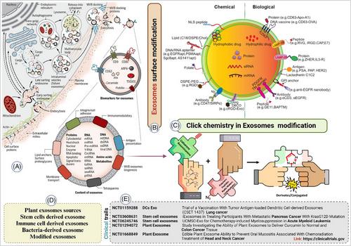 Signature of click chemistry in exosome modification for cancer therapeutic