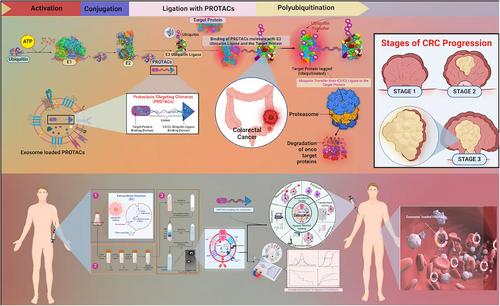 PROteolysis Targeting Chimeras: A new cutting-edge nanomedicine for colorectal cancer