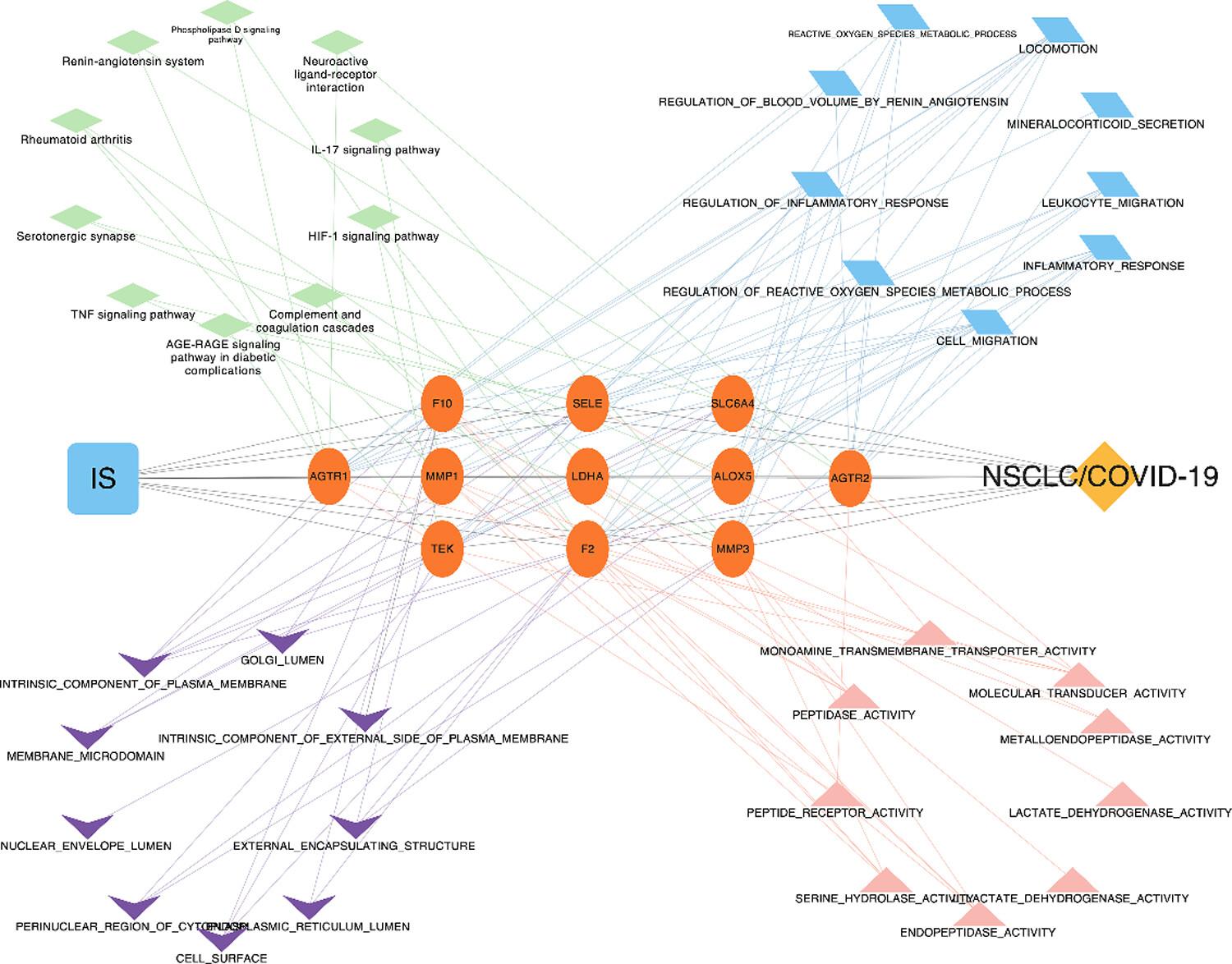 Icariside II in NSCLC and COVID-19: Network pharmacology and molecular docking study