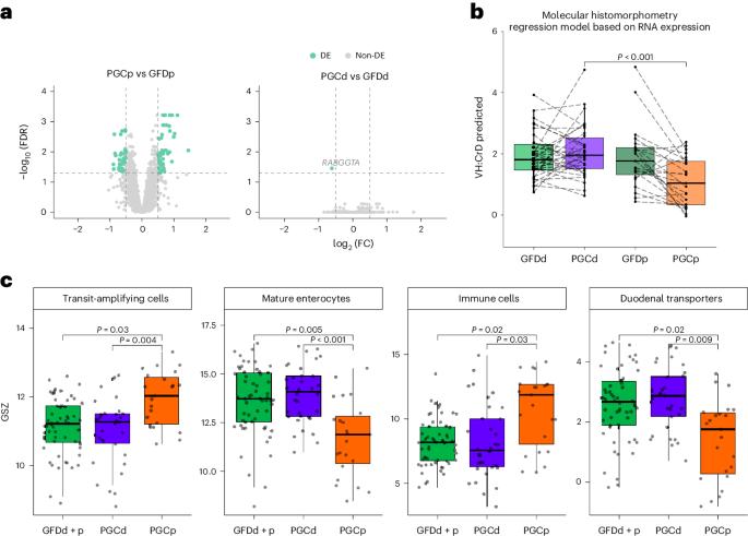 Transcriptomic analysis of celiac disease treatment with transglutaminase 2 inhibitor