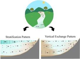 The synergistic response between temperature, flow field and nutrients in the tributary disturbed by the Three Gorges reservoir