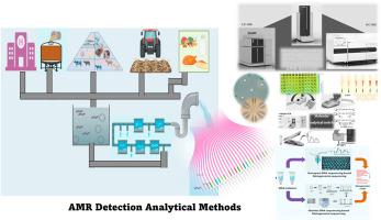 Analytical techniques for assessing antimicrobial resistance: Conventional solutions, contemporary problems and futuristic outlooks