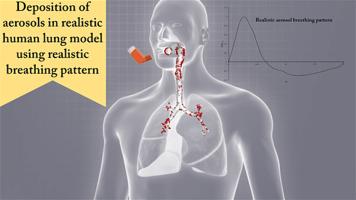 Numerical simulation of targeted drug delivery to different regions of realistic human lung model under realistic aerosol breathing condition