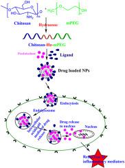 pH-responsive chitosan copolymer synthesized via click chemistry for design of polymeric nanoparticles for targeted drug delivery