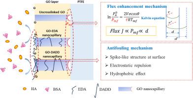 Enhanced water permeability and antifouling properties of cross-linked graphene oxide composite membranes with tunable d-spacings