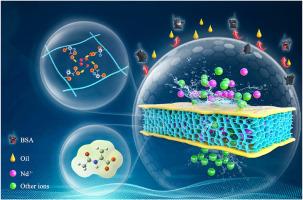 A DFT-designed neodymium ion-imprinted membrane with fouling resistance and high flux