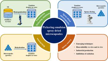 Future trends in the field of Pickering emulsions: Stabilizers, spray-dried microencapsulation and rehydration for food applications