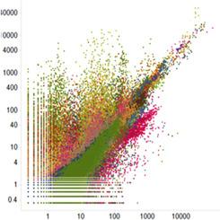 Profiling cells with DELs: Small molecule fingerprinting of cell surfaces