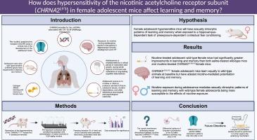 Hypersensitivity of the nicotinic acetylcholine receptor subunit (CHRNA2L9′S/L9′S) in female adolescent mice produces deficits in nicotine-induced facilitation of hippocampal-dependent learning and memory