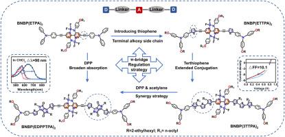 Double-bridged N–B←N bipyridyl-based airfoil-shaped small molecule dyes: π-bridge regulation on photovoltaic performance