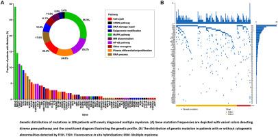 Gene mutations in newly diagnosed multiple myeloma patients detected by next-generation sequencing technology