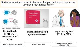 Dostarlimab in the treatment of mismatch repair deficient recurrent or advanced endometrial cancer