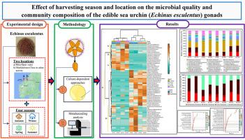 Effect of harvesting season and location on the microbial quality and community composition of the edible sea urchin (Echinus esculentus) gonads