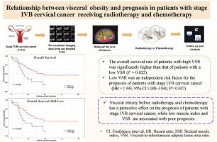 Relationship between visceral obesity and prognosis in patients with stage IVB cervical cancer receiving radiotherapy and chemotherapy