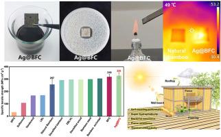 Multifunctional bamboo-based fiber composites fabricated by assembling 3D network structures of bamboo and spatial distribution of silver nanoparticles