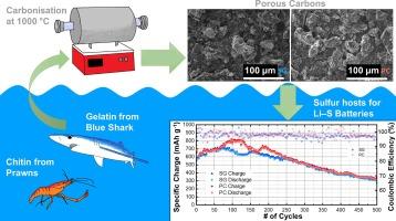 Marine waste derived carbon materials for use as sulfur hosts for Lithium-Sulfur batteries