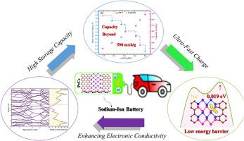 P6C5 monolayer as promising anode for high-performance sodium-ion batteries: Insights from DFT and AIMD study