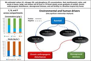 Aboveground and soil carbon, nitrogen, and phosphorus concentrations and stocks and their responses to environmental and human-related drivers in a tropical dry forest