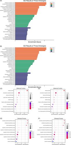 Evaluation of secretome biomarkers in glioblastoma cancer stem cells: A bioinformatics analysis