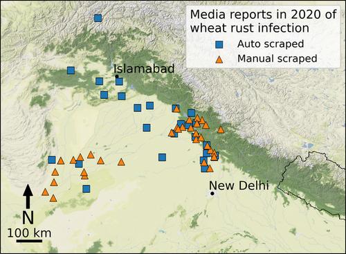 Advancing crop disease early warning in South Asia by complementing expert surveys with internet media scraping