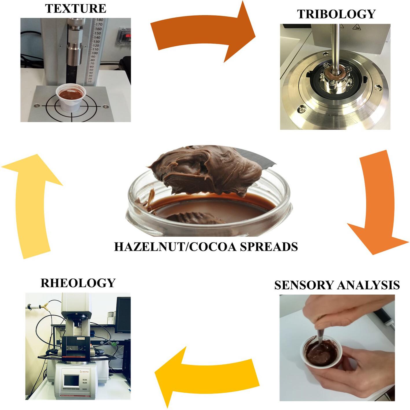 Correlation of rheology and oral tribology with sensory perception of commercial hazelnut and cocoa-based spreads