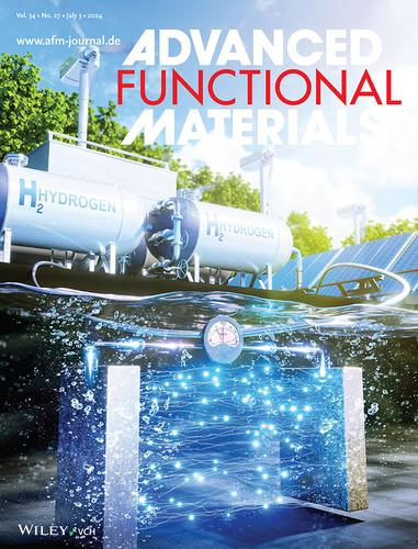 Reverse-Current Tolerance for Hydrogen Evolution Reaction Activity of Lead-Decorated Nickel Catalysts in Zero-Gap Alkaline Water Electrolysis Systems (Adv. Funct. Mater. 27/2024)