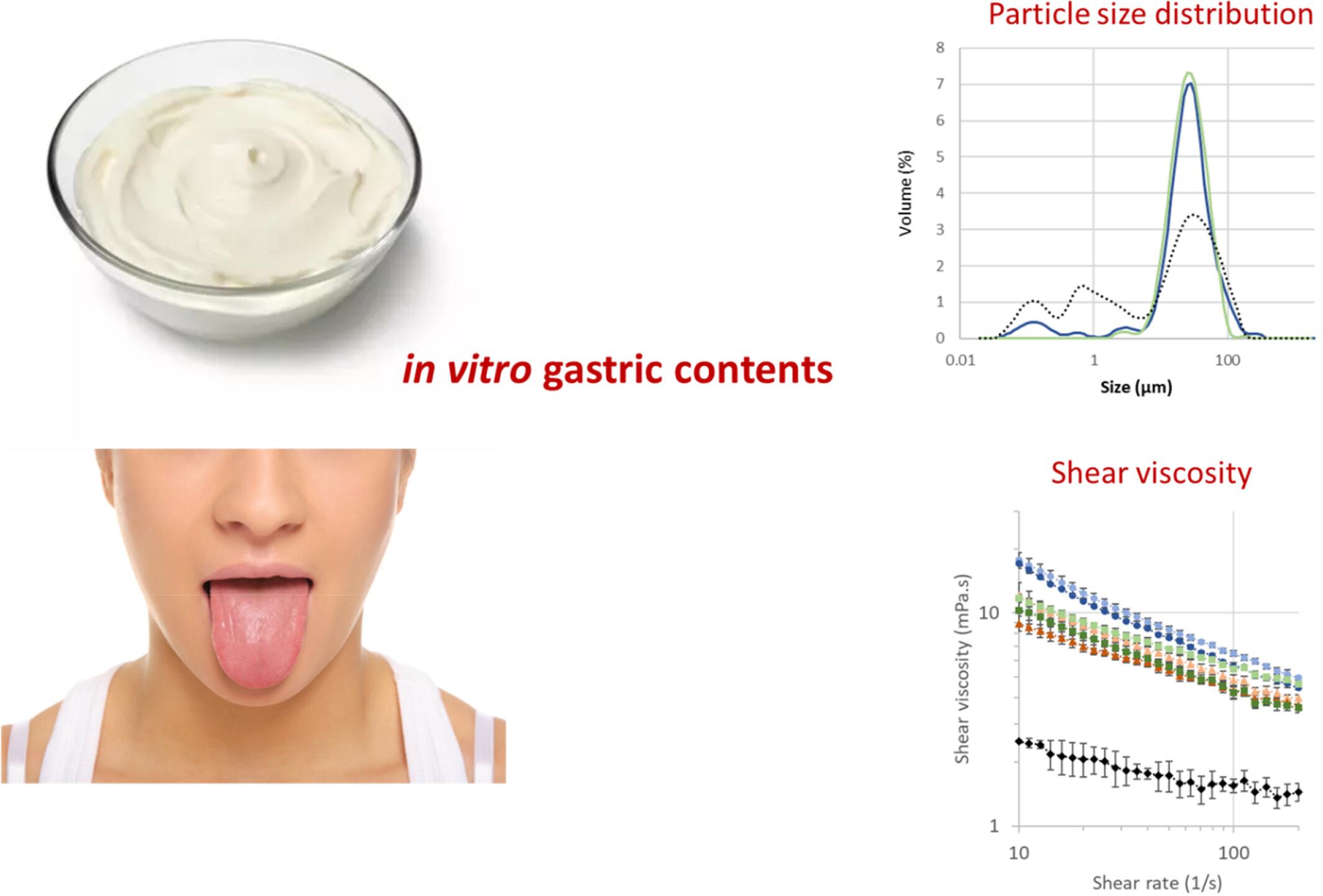 Impact of saliva incorporation on the rheological properties of in vitro gastric contents formulated from sour cream