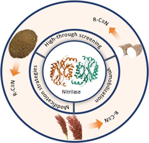 Molecular Modification Strategies of Nitrilase for Its Potential Application in Agriculture