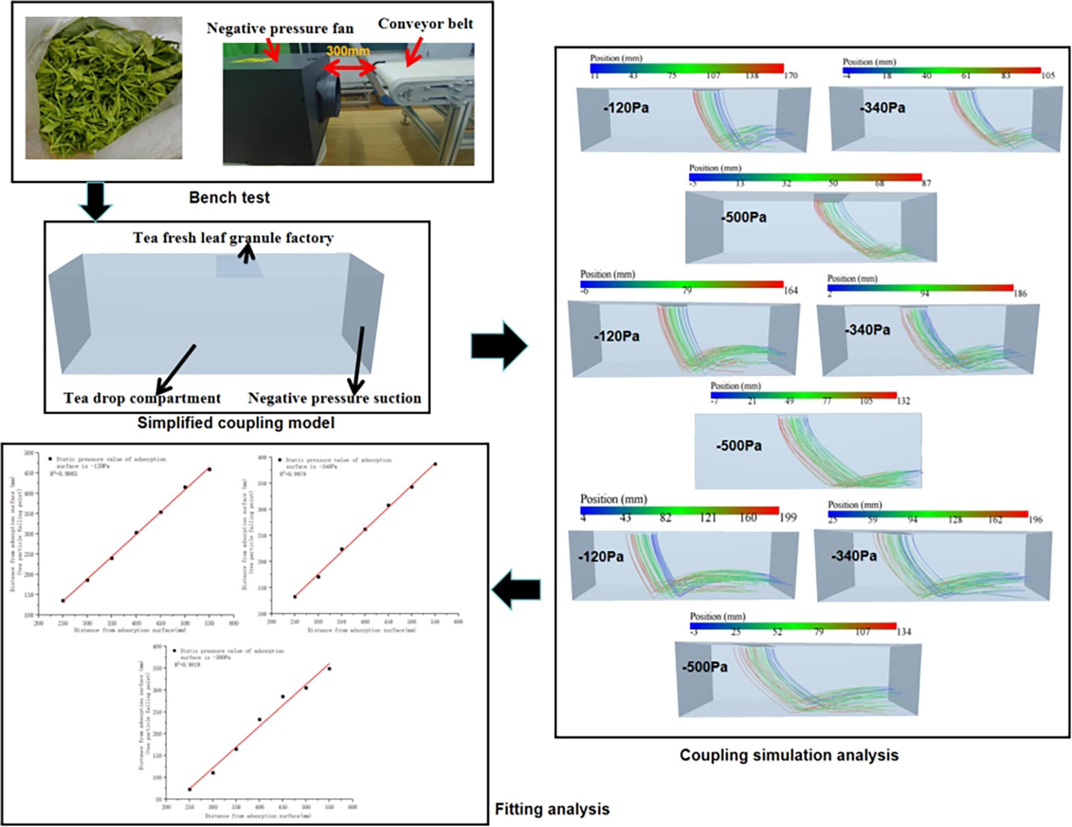 Simulation and analysis of movement trajectories of fresh tea leaf particles based on CFD-EDEM coupling