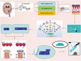 Assessing DNA methylation of ATG 5 and MAP1LC3Av1 gene in oral squamous cell carcinoma and oral leukoplakia- a cross sectional study