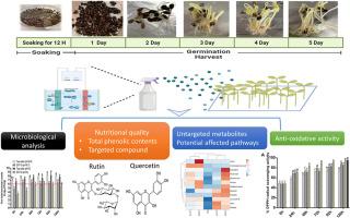 Effects of slightly acidic electrolyzed water on safety, antioxidant activity, and metabolite profile of buckwheat sprouts (Fagopyrum spp.)