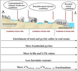 Decoding paleomire conditions of paleogene superhigh-organic-sulfur coals