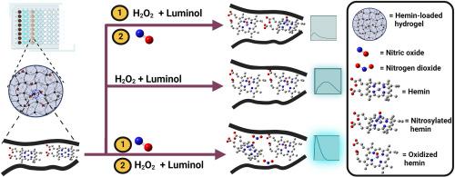 Iron protoporphyrin IX-hyaluronan hydrogel-supported luminol chemiluminescence for the detection of nitric oxide in physiological solutions